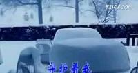 冬雪