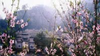 相遇 正是桃花烟雨浓