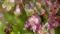 梦里花开香满春