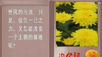 陶公祠的菊花